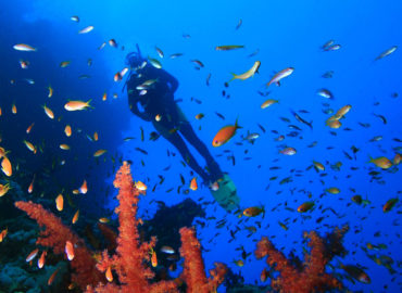 Blue Hole Dive Site in Dahab