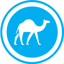 Camel Safari Dahab