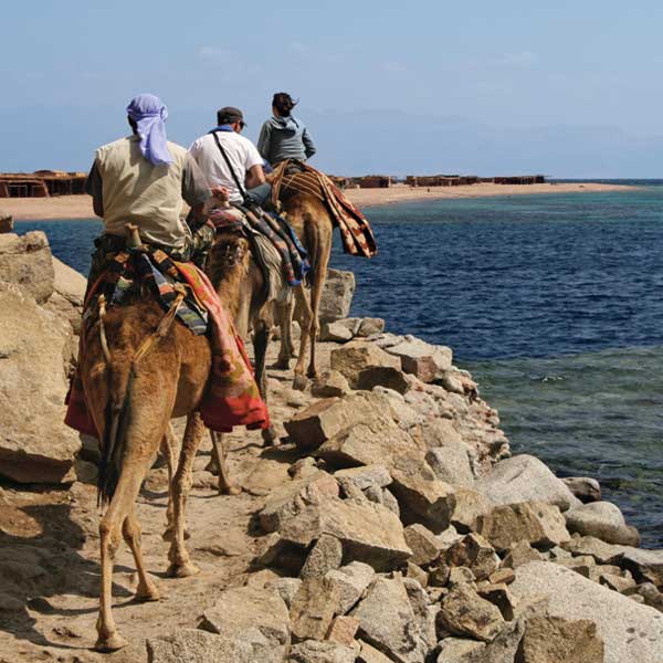 Dahab Dive Sarafi - Ras Abu Calum Camel Dive Safari